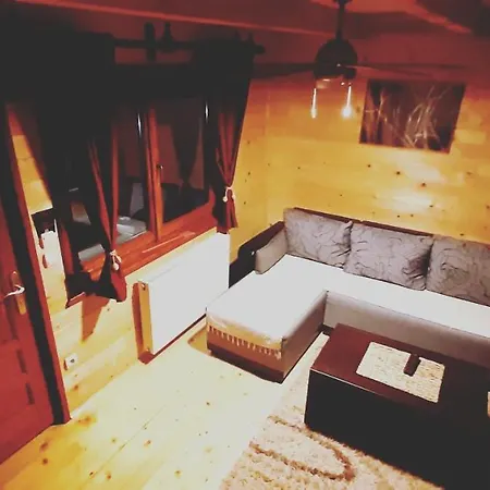 Brvnara Cigota 펜션 *