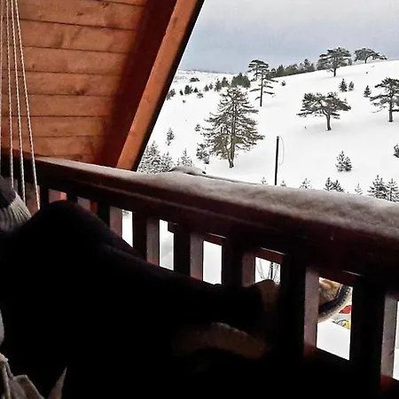 펜션 Brvnara Cigota