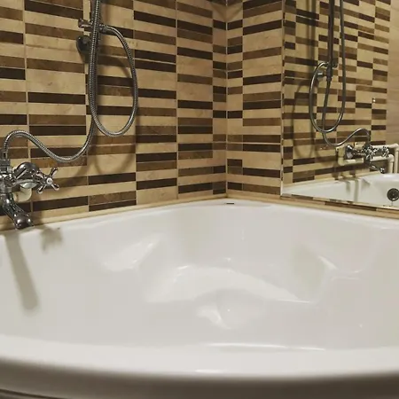 Brvnara Cigota 펜션 즐라티보