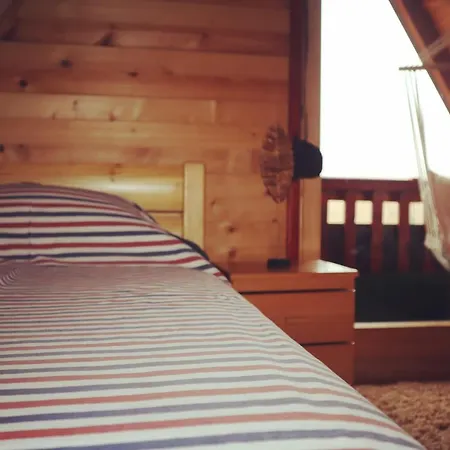 Brvnara Cigota Holiday home