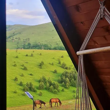 Brvnara Cigota 펜션 즐라티보