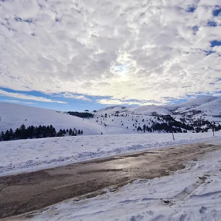 Brvnara Cigota 펜션