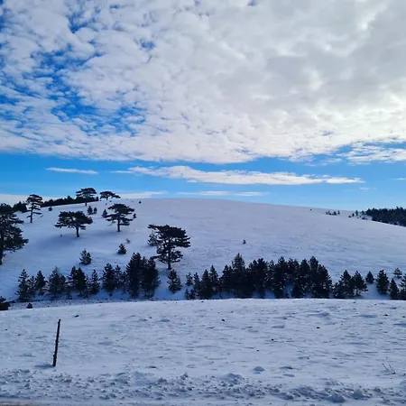 Brvnara Cigota 즐라티보