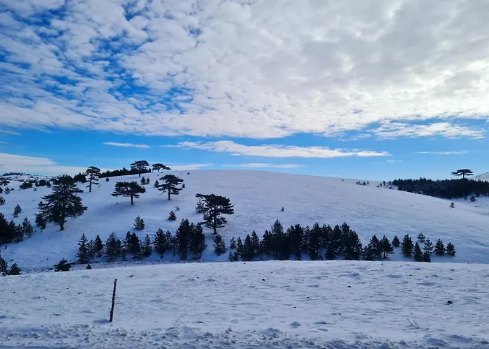 Brvnara Cigota 兹拉蒂博尔